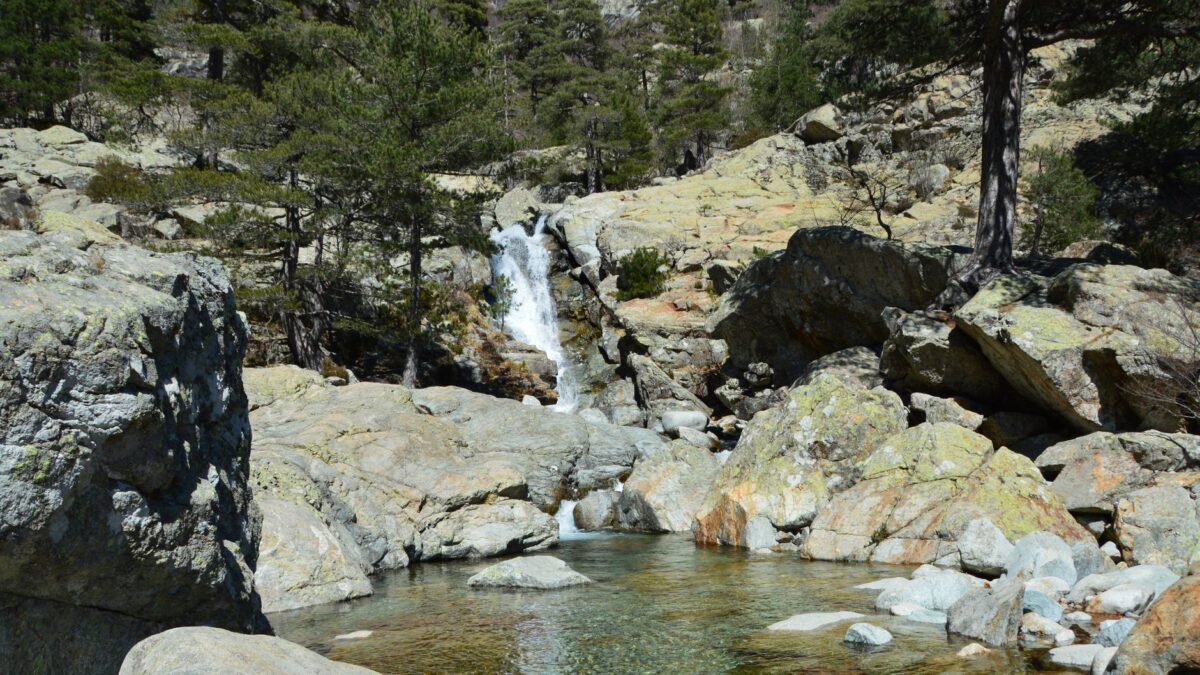 Découvrez le bassin capillaire à la réunion : accès, randonnée, baignade, règles de sécurité